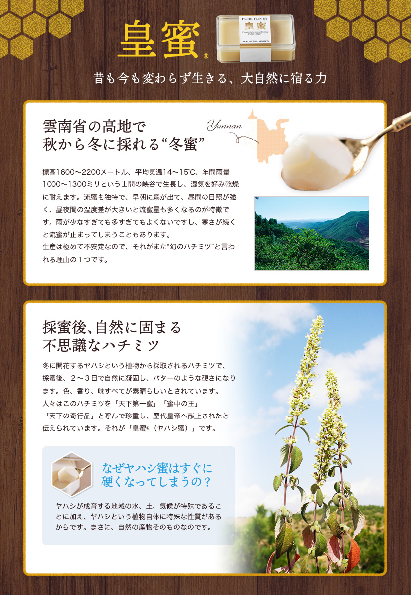 昔も今も変わらず生きる、大自然に宿る力